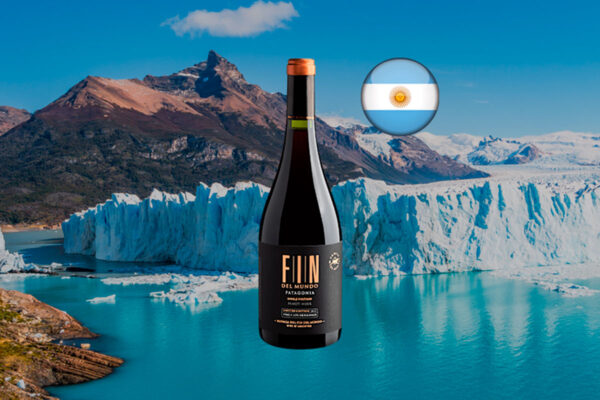 Fin Del Mundo Patagonia Single Vineyard Pinot Noir Limited Edition Finca los Hermanos 2021 - Thumbnail