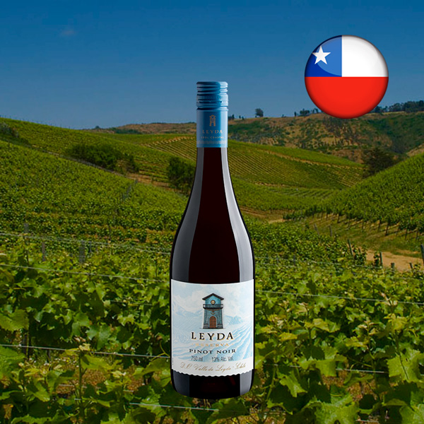 Leyda Reserva Pinot Noir Valle de Leyda DO 2022 - Oferta