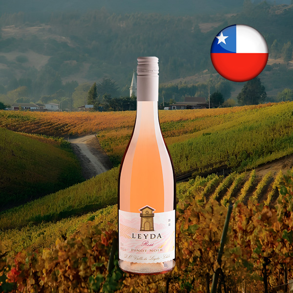 Leyda Reserva Rose 2022 - Oferta