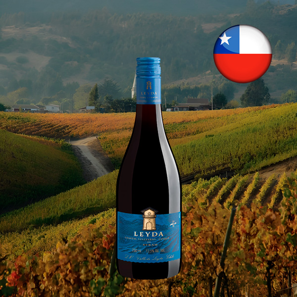 Leyda Single Vineyard Canelo Syrah Valle de Leyda DO 2020 - Oferta