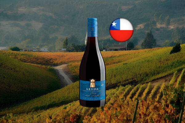 Leyda Single Vineyard Canelo Syrah Valle de Leyda DO 2020 - Thumbnail