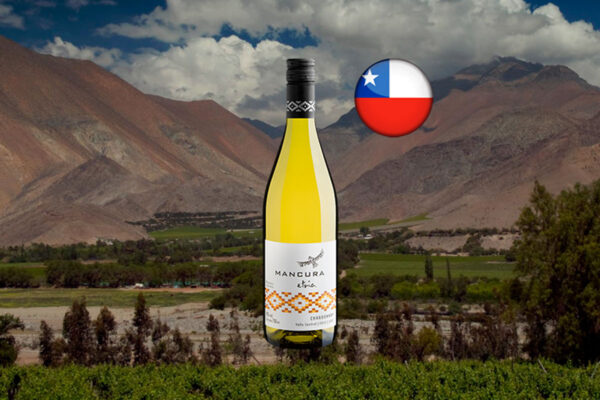 Mancura Etnia Sauvignon Blanc 2024 187mL - Thumbnail
