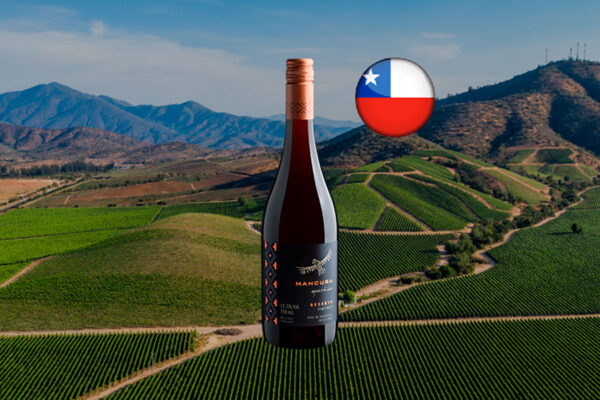 Mancura Guardián Reserva Pinot Noir 2022 - Thumbnail