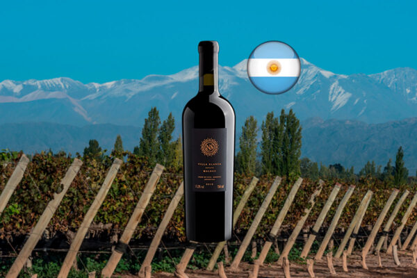 Nieto Senetiner Single Vineyard Villa Blanca Estate Malbec 2018 - Thumbnail