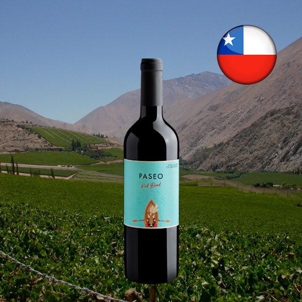 Paseo Red Blend Valle Central DO 2023 - Oferta