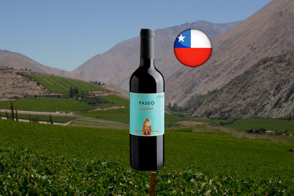 Paseo Red Blend Valle Central DO 2023 - Thumbnail
