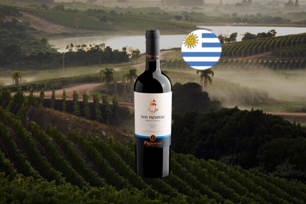 Pizzorno Don Prospero Tannat 2024 - Thumbnail