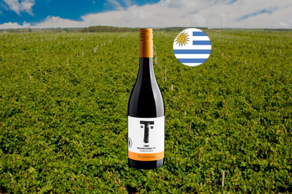 Pizzorno Mayúsculas Tannat Maceración Carbónica 2024 - Thumbnail