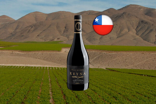 Reyna Gran Reserva Garnacha Syrah Carignan Valle del Maule DO 2023 - Thumbnail