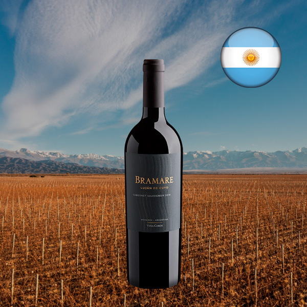 Viña Cobos Bramare Lujan de Cuyo Cabernet Sauvignon 2019 - Oferta