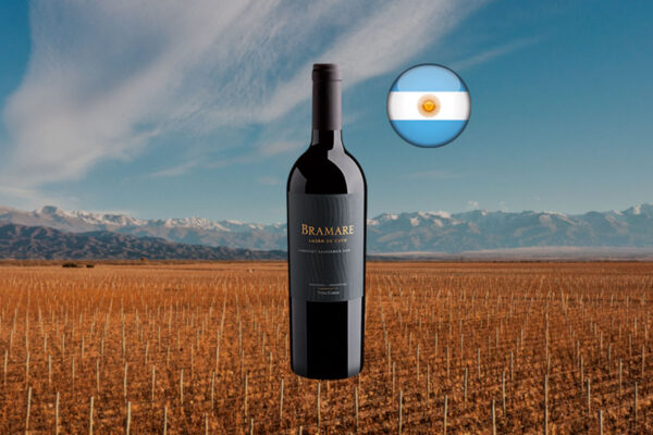 Viña Cobos Bramare Lujan de Cuyo Cabernet Sauvignon 2019 - Thumbnail