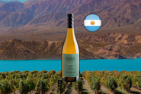 Zorzal Eggo Sauvignon Blanc de Cal 2015 - Thumbnail