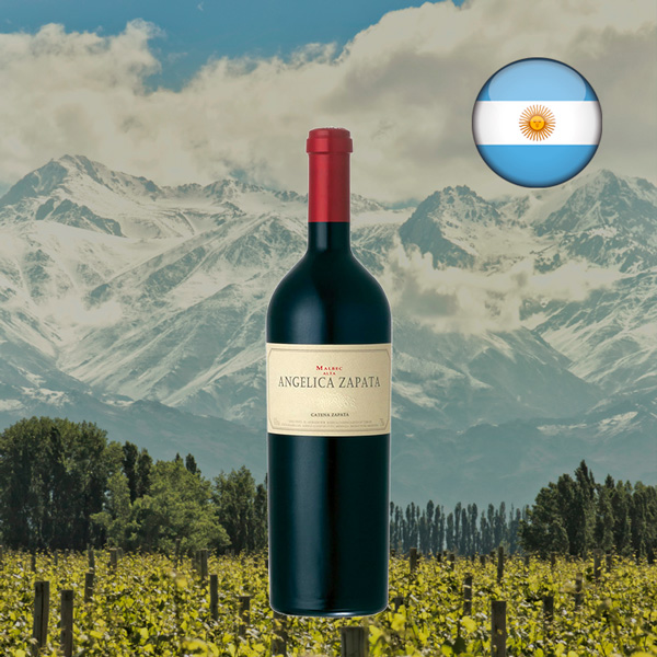 Angelica Zapata Malbec Alta 2020 - Oferta