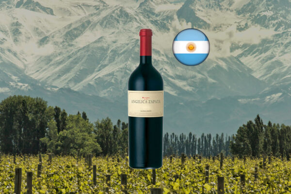 Angelica Zapata Malbec Alta 2020 - Thumbnail