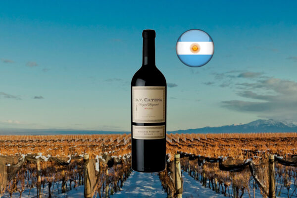 DV Catena Adrianna Vineyard Malbec 2022 - Thumbnail