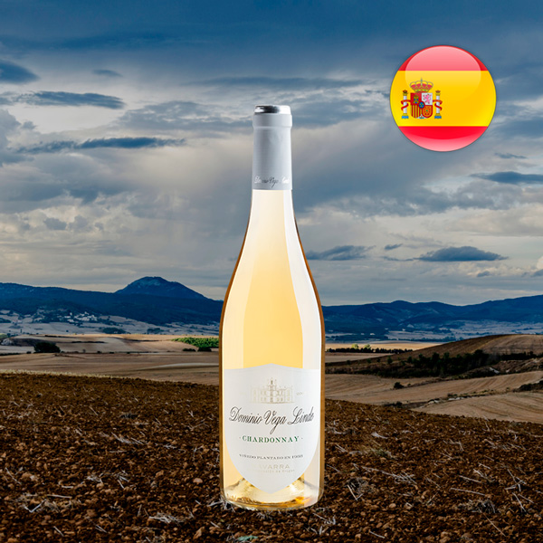 Dominio Vega Linde Chardonnay Navarra DO 2023 - Oferta