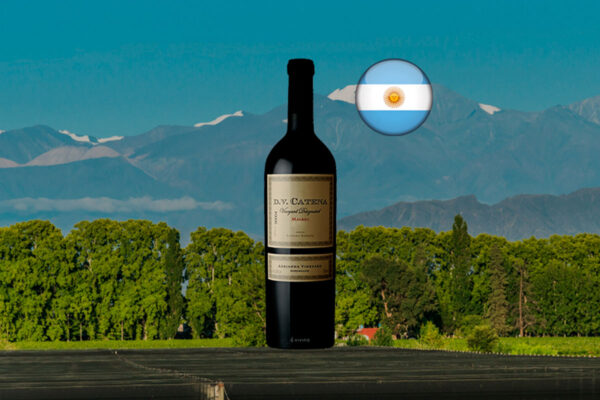 Dv Catena Adrianna Vineyard Malbec 2021 - Thumbnail