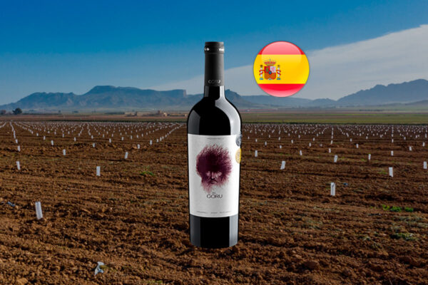 El Goru 2020 - Thumbnail