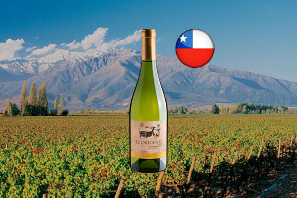 El Origen Winemaker Selection del Limarí Chardonnay 2024 - Thumbnail