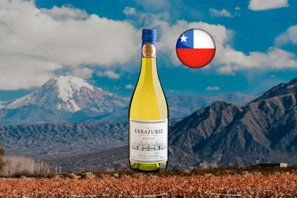 Errazuriz Estate Series Pinot Grigio Reserva 2023 - Thumbnail