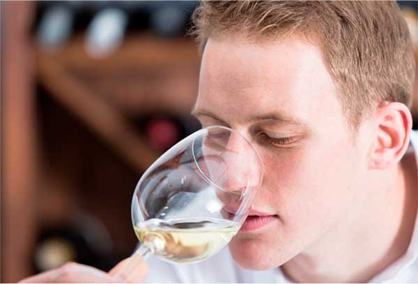 Grand'Arte Chardonnay Vinho Regional Lisboa 2023 - Degustando