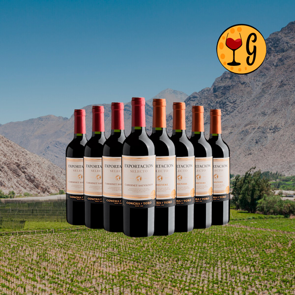 Kit Concha y Toro Exportacion - Uma Experiência Única em Vinhos Chilenos