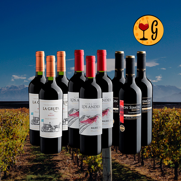 Kit de Vinhos Best Sellers – Os Rótulos Mais Vendidos e Adorados em uma Seleção Exclusiva - Oferta