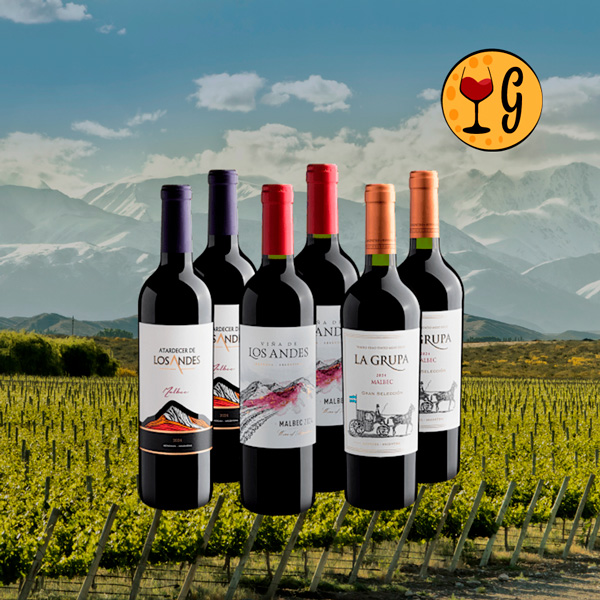 Kit de Vinhos Malbec em Dobro - 6 garrafas por R$29,90 cada - Oferta
