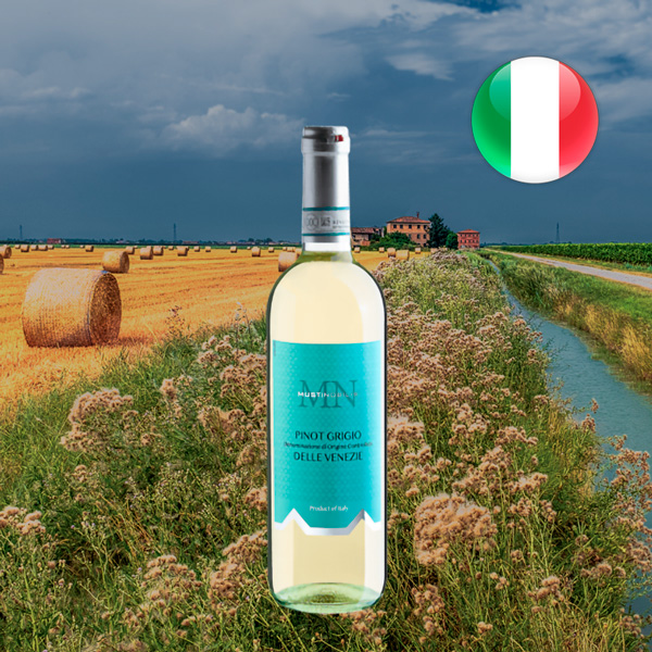 Musti Nobilis Pinot Grigio Delle Venezie DOC 2023 - Oferta