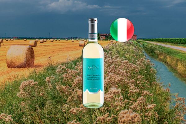 Musti Nobilis Pinot Grigio Delle Venezie DOC 2023 - Thumbnail