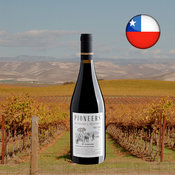 Pioneers Pinot Noir 2024 - Oferta