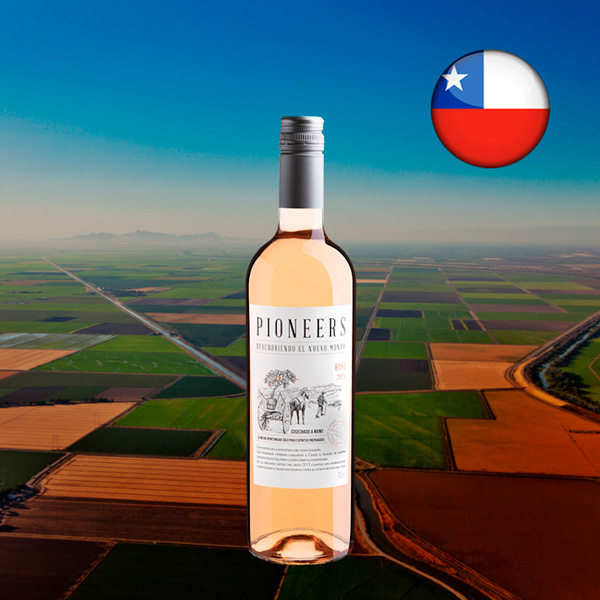 Pioneers Rosé 2024 - Oferta