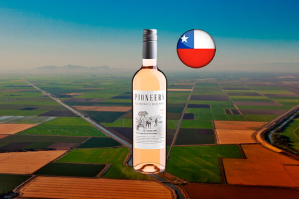 Pioneers Rosé 2024 - Thumbnail