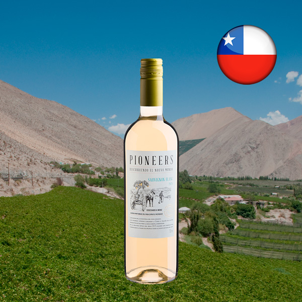 Pioneers Sauvignon Blanc 2024 - Oferta