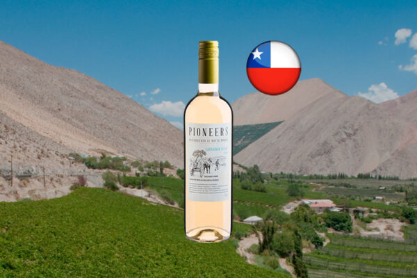 Pioneers Sauvignon Blanc 2024 - Thumbnail