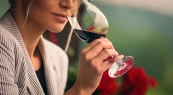 Punta Negra Reserva Malbec Single Vineyard 2023 - Degustando