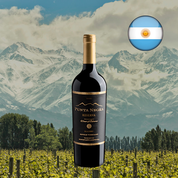 Punta Negra Reserva Malbec Single Vineyard 2023 - Oferta