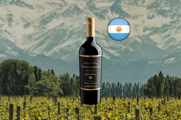 Punta Negra Reserva Malbec Single Vineyard 2023 - Thumbnail