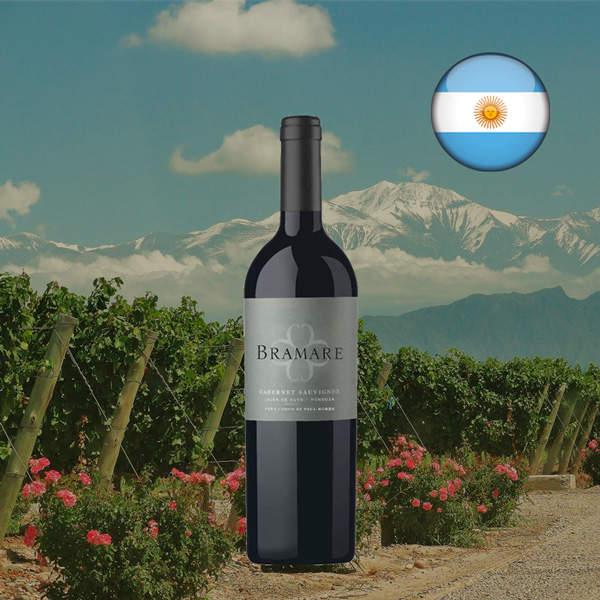 Viña Cobos Bramare Luján De Cuyo Cabernet Sauvignon 2016 - Oferta