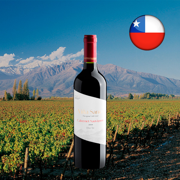 Viña Santa Cabernet Sauvignon 2024 - Oferta