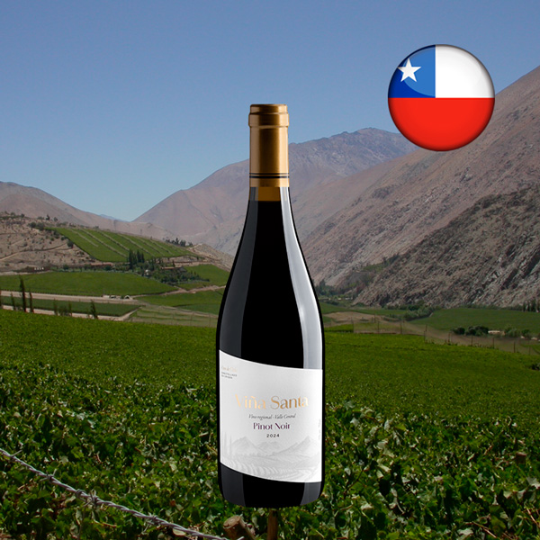 Viña Santa Pinot Noir 2024 - Oferta