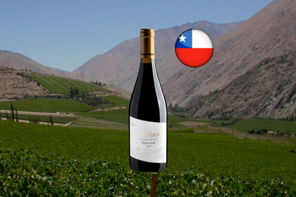 Viña Santa Pinot Noir 2024 - Thumbnail
