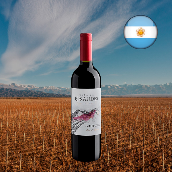 Viña de Los Andes Malbec 2024 - Oferta
