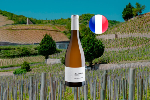 Xavier Vignon Côtes du Rhône Blanc 2022 - Thumbnail