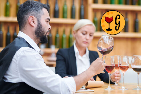11 Melhores Vinhos Pontuados pela Crítica Especializada em 2025 - Thumbnail