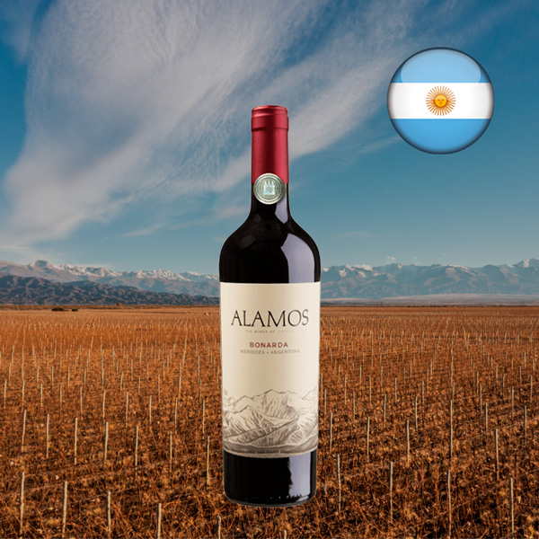 Alamos Bonarda 2023 - Oferta