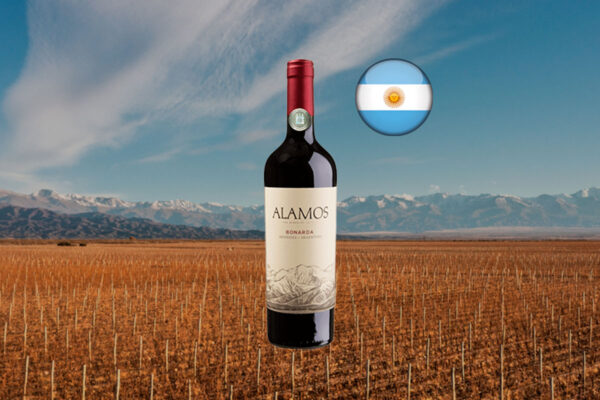 Alamos Bonarda 2023 - Thumbnail