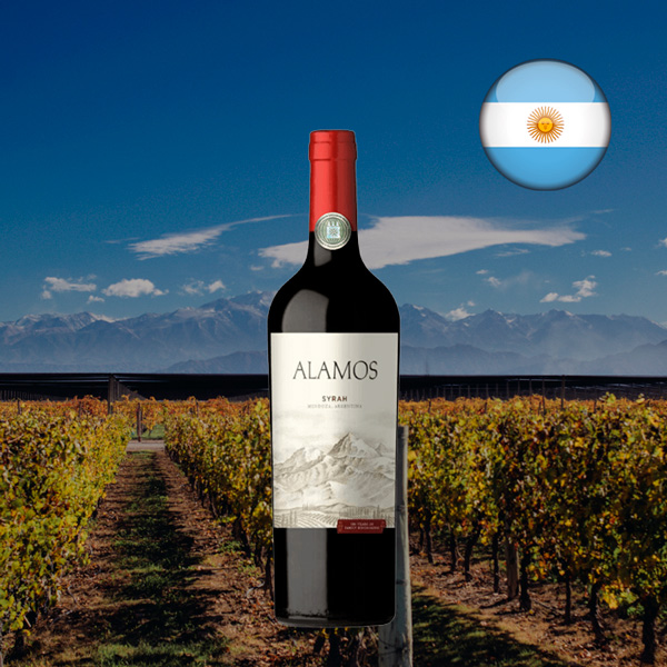 Alamos Syrah 2023 - Oferta