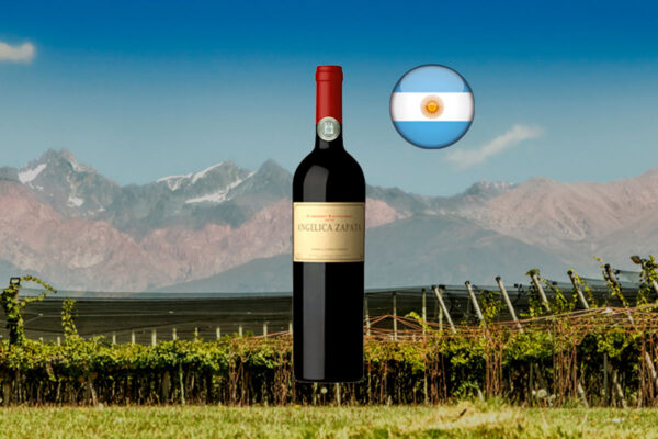 Angelica Zapata Cabernet Sauvignon 2019 - Thumbnail