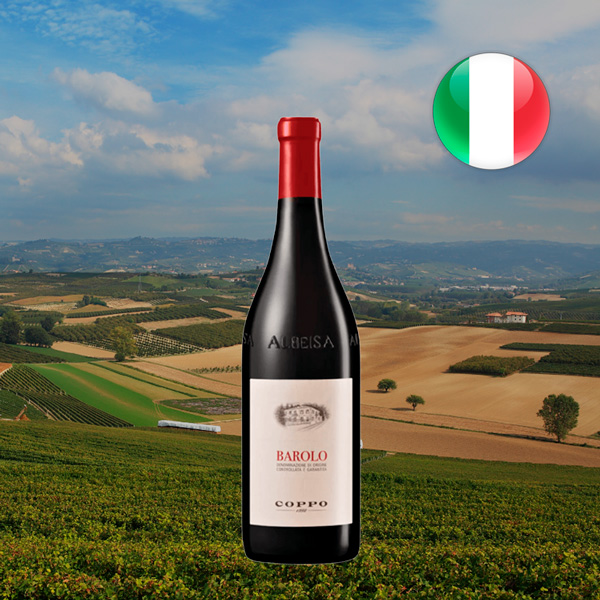 Barolo Cellar Selection 2019 - Oferta
